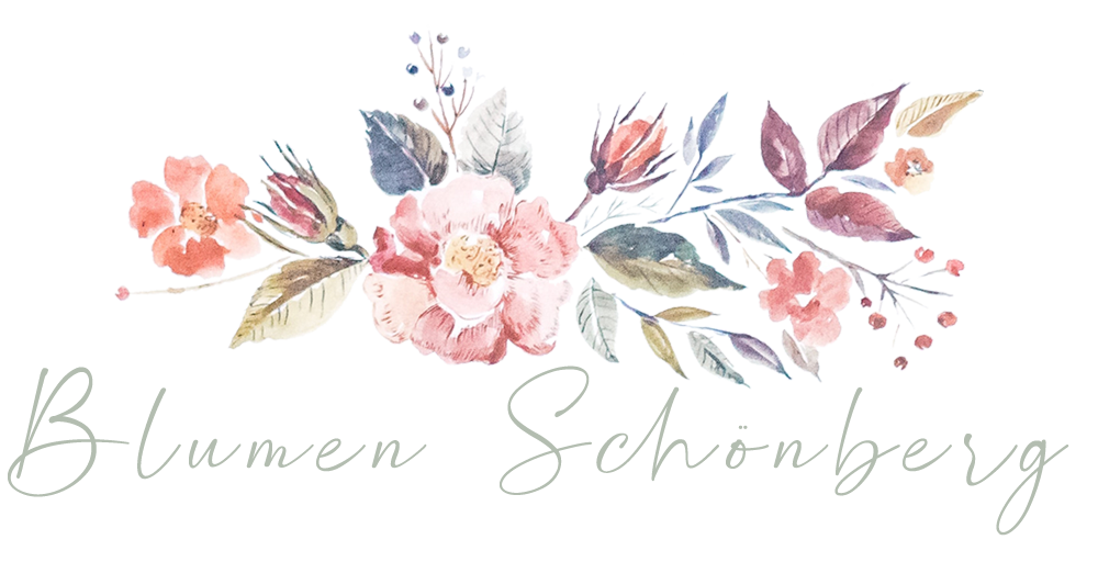Blume Schönberg